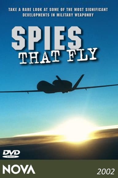 Spies That Fly poster