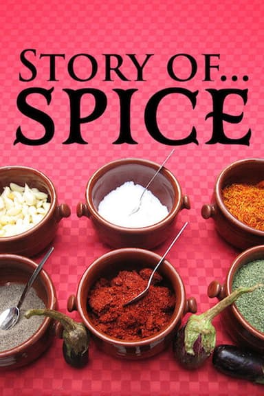 Story of..Spice poster