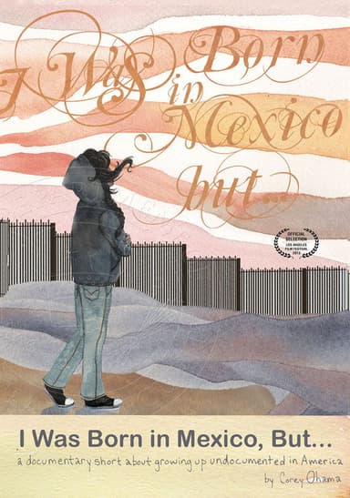 I Was Born in Mexico, But... poster