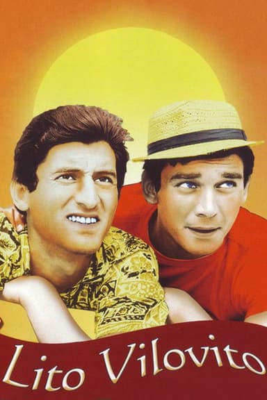 Mad Summer poster