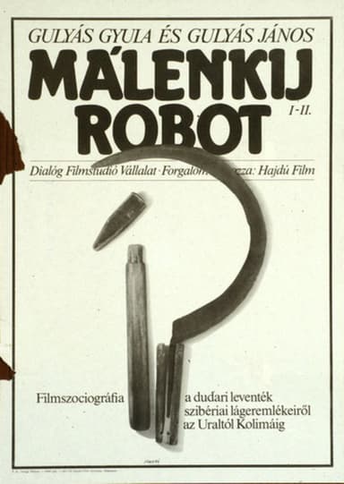 Málenkij robot poster