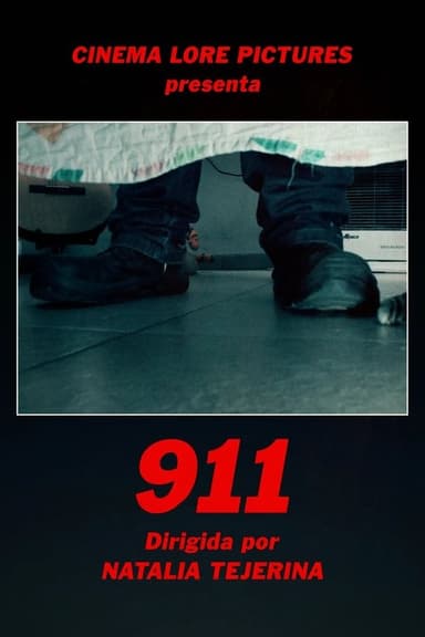 911 poster
