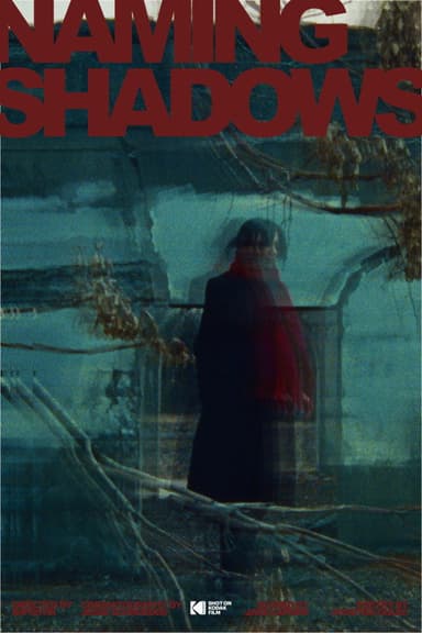 Naming Shadows poster