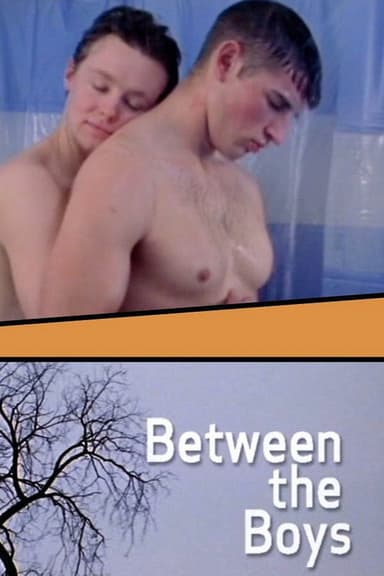 Between the Boys poster