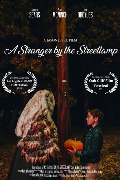 A Stranger by the Streetlamp poster