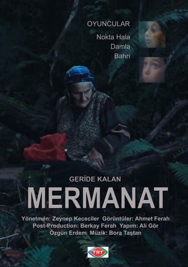 Geriye Kalan... Mermanat poster