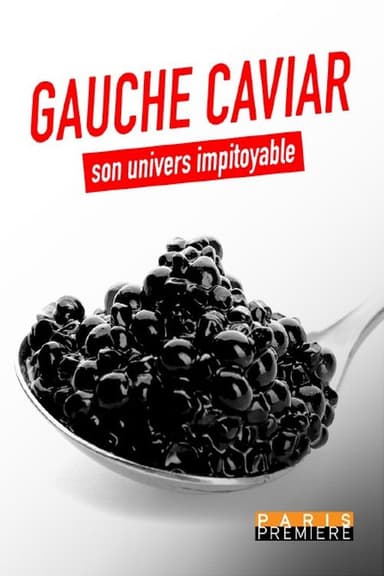 Gauche caviar, son univers impitoyable poster