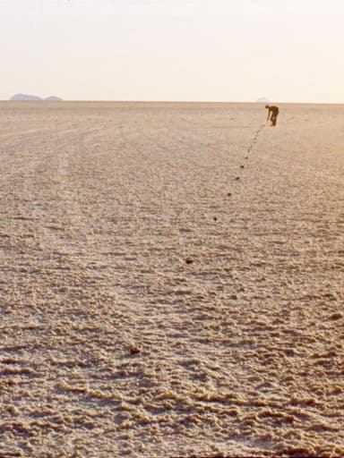 Of Seeing in Salt. Or: Ten Strategies to Face the Own Finitude in an Infinity poster