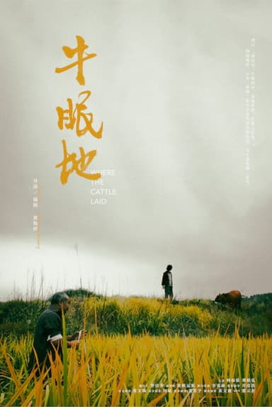 Where the Cattle Laid poster