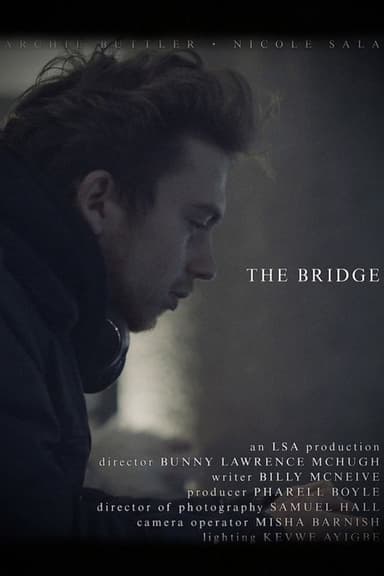 The Bridge poster