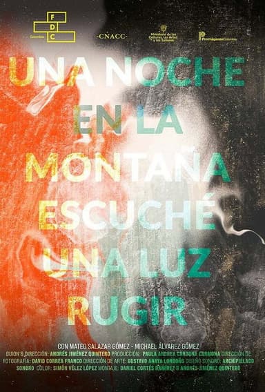 A Night in the Mountains I heard a Light Roar poster