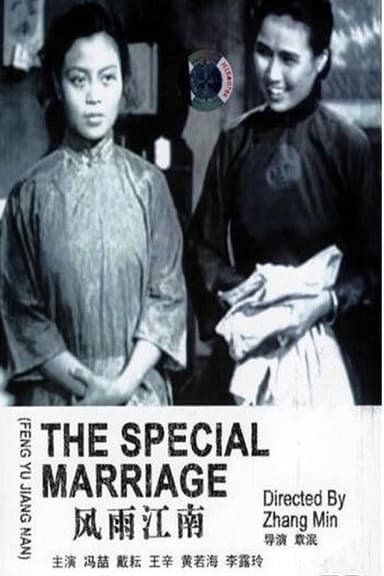 The Special Marriage poster