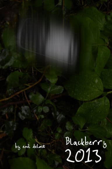 Blackberry2013 poster