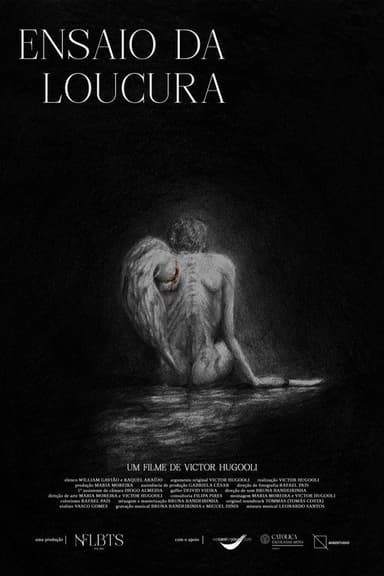 Ensaio da Loucura poster