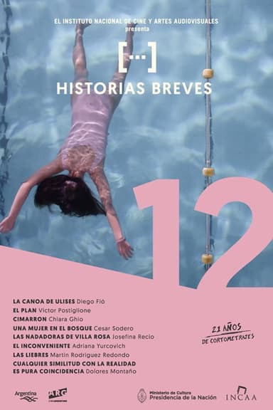Historias breves 12 poster
