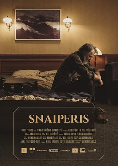 The Sniper poster