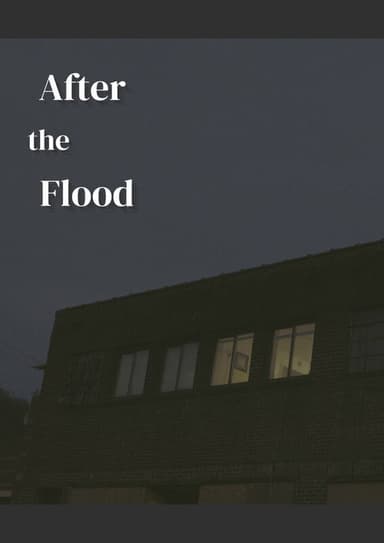 After the Flood poster