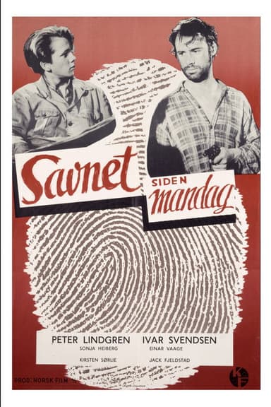 Savnet siden mandag poster