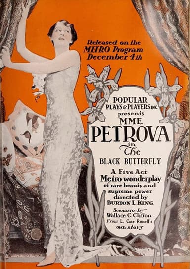 The Black Butterfly poster