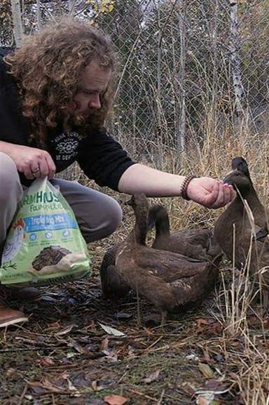 Baylin and the Ducks poster