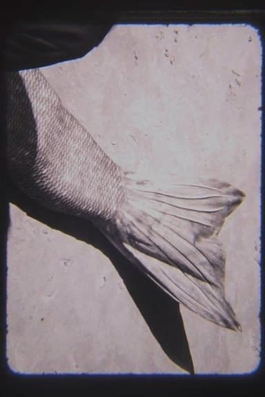 MER poster