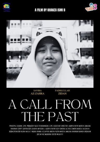A Call From The Past poster