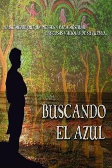 Buscando el azul poster