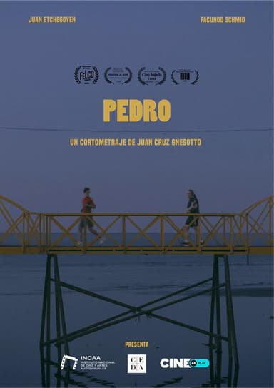 Pedro poster
