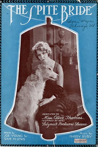 The Spite Bride poster