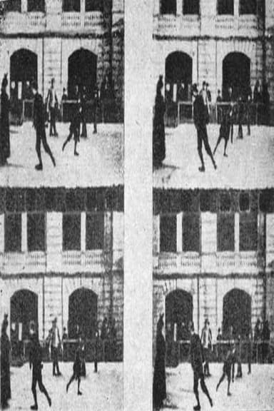 Skating-rink in the Royal Baths poster