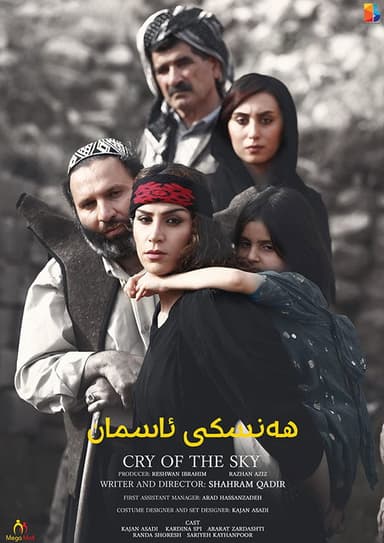 Cry of the Sky poster