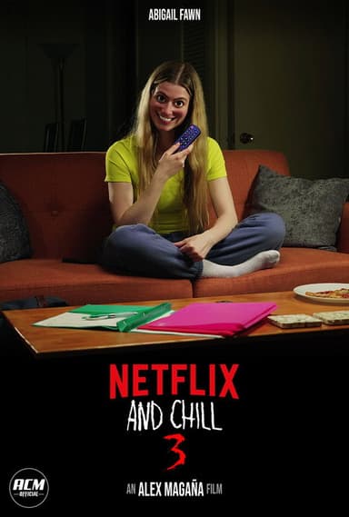 Netflix and Chill 3 poster