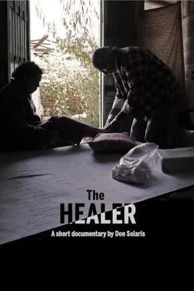 The Healer poster