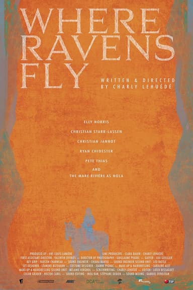 Where Ravens Fly poster
