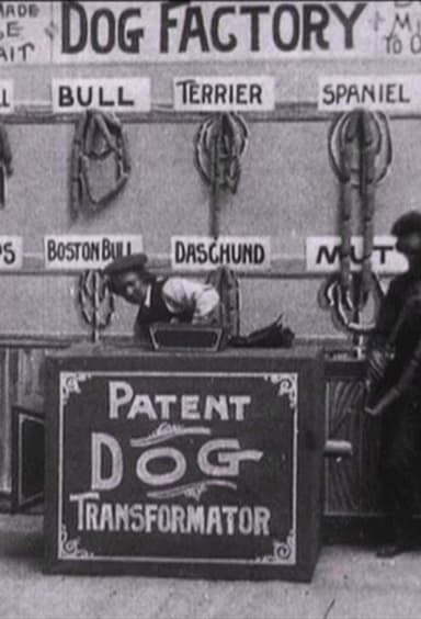 Dog Factory poster