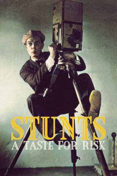 Stunts: A Taste for Risk poster