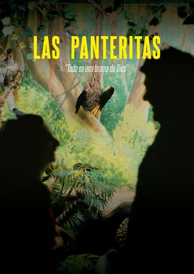 The Little Panthers poster