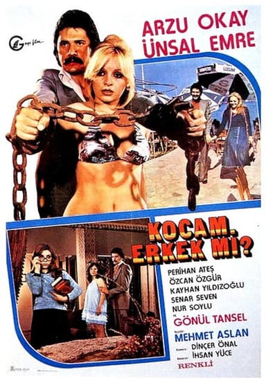 Kocam Erkek mi? poster