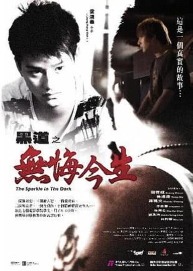 The Sparkle in the Dark poster