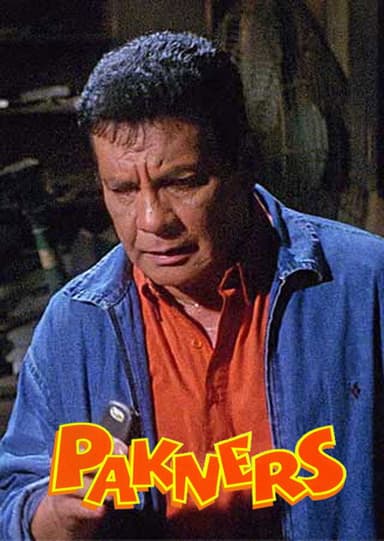 Pakners poster