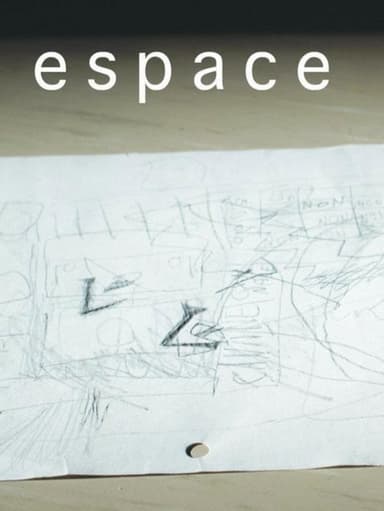 The Space poster