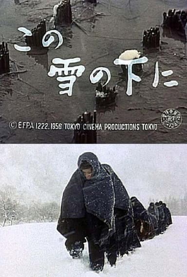 Country Life under Snow poster
