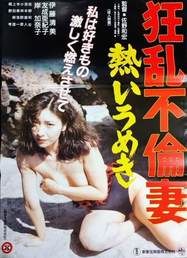 Mad Affair: Promiscuous Wife poster