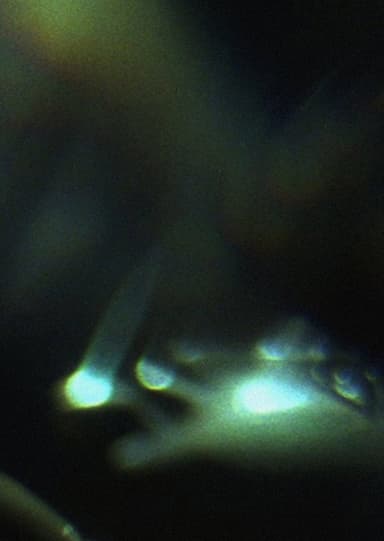 Prisms poster