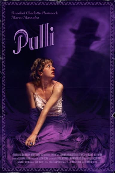Pulli poster