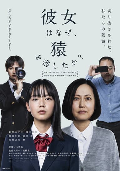 Why Did She Let the Monkeys Loose? poster