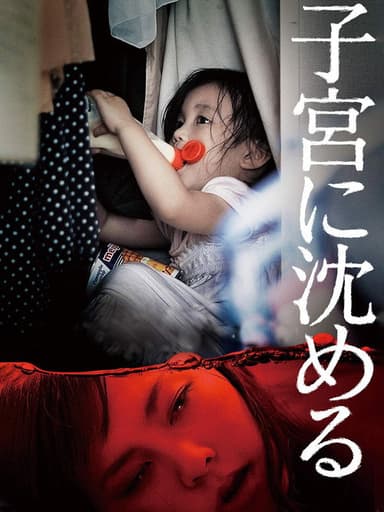 Sunk into the Womb poster