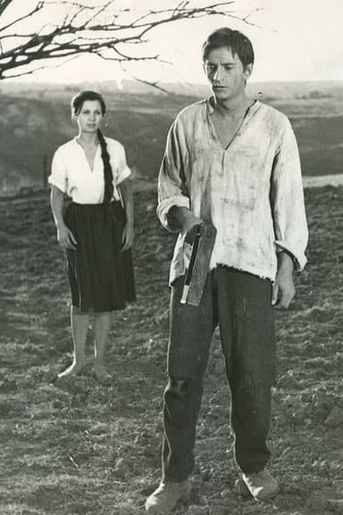 Comoara din Vadul Vechi poster