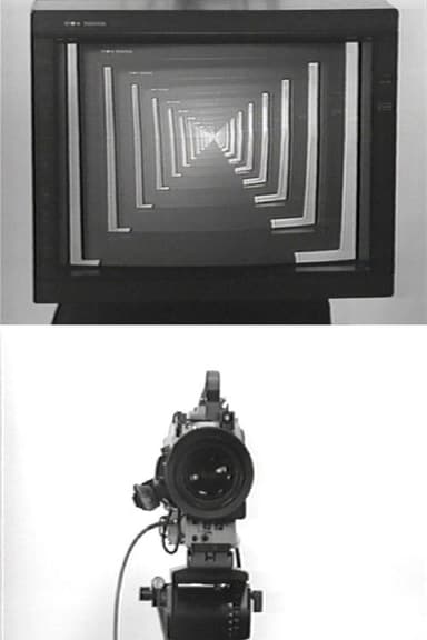 Observer / Observed poster