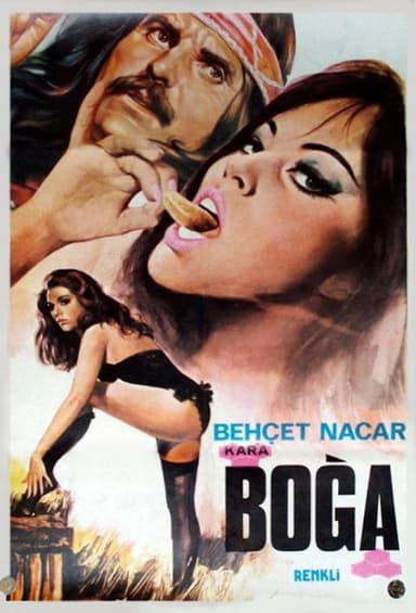 The Black Bull poster